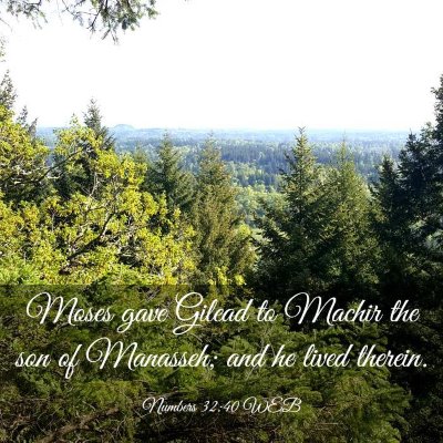 Picture 03 - Numbers 32:40 WEB - Moses gave Gilead to Machir the son of Manasseh; - Bible Verse Picture