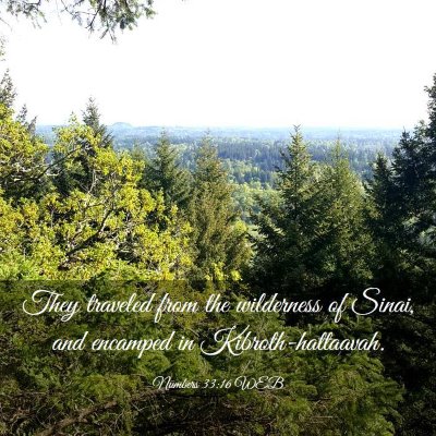 Picture 03 - Numbers 33:16 WEB - They traveled from the wilderness of Sinai, and - Bible Verse Picture