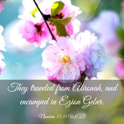 Picture 03 - Numbers 33:35 WEB - They traveled from Abronah, and encamped in Ezion - Bible Verse Picture