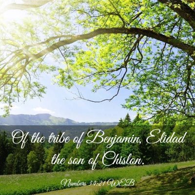 Picture 03 - Numbers 34:21 WEB - Of the tribe of Benjamin, Elidad the son of - Bible Verse Picture