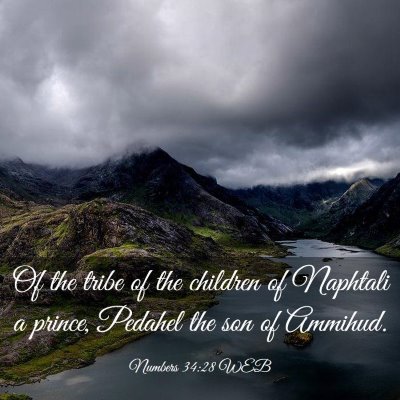 Picture 03 - Numbers 34:28 WEB - Of the tribe of the children of Naphtali a - Bible Verse Picture