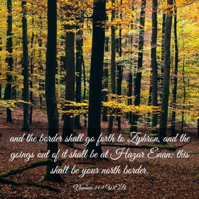 Picture 03 - Numbers 34:9 WEB - and the border shall go forth to Ziphron, and the - Bible Verse Picture