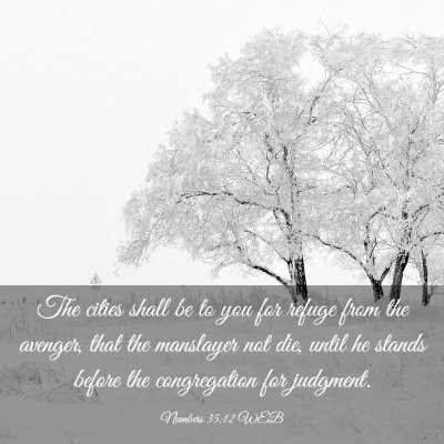 Picture 03 - Numbers 35:12 WEB - The cities shall be to you for refuge from the - Bible Verse Picture