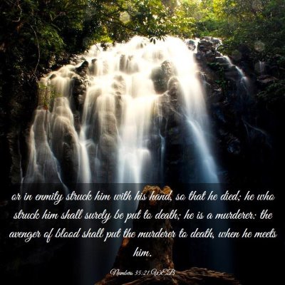 Picture 03 - Numbers 35:21 WEB - or in enmity struck him with his hand, so that he - Bible Verse Picture
