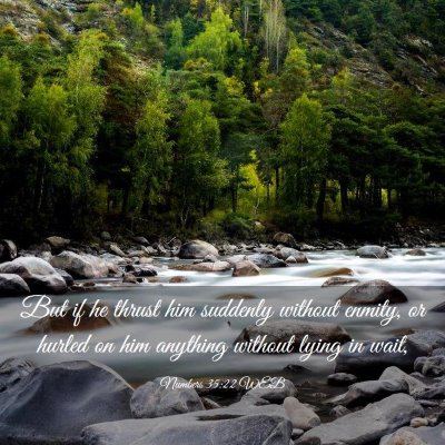 Picture 03 - Numbers 35:22 WEB - But if he thrust him suddenly without enmity, or - Bible Verse Picture