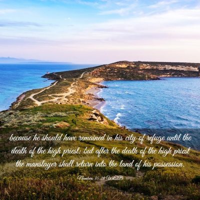 Picture 03 - Numbers 35:28 WEB - because he should have remained in his city of - Bible Verse Picture
