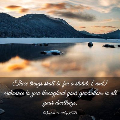 Picture 03 - Numbers 35:29 WEB - These things shall be for a statute [and] - Bible Verse Picture