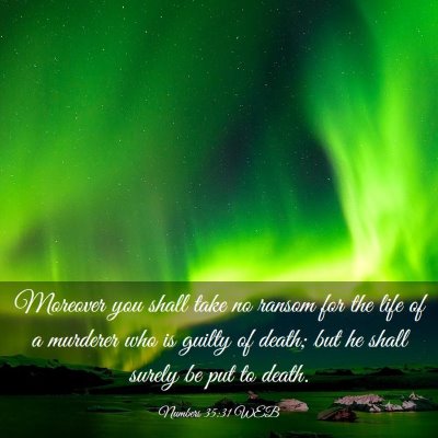 Picture 03 - Numbers 35:31 WEB - Moreover you shall take no ransom for the life of - Bible Verse Picture