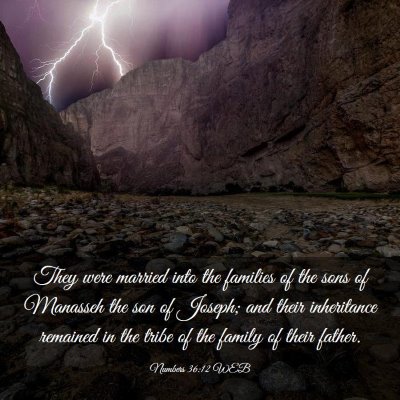 Picture 03 - Numbers 36:12 WEB - They were married into the families of the sons - Bible Verse Picture