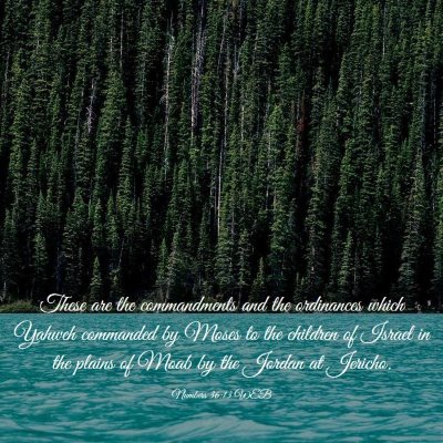 Picture 03 - Numbers 36:13 WEB - These are the commandments and the ordinances - Bible Verse Picture
