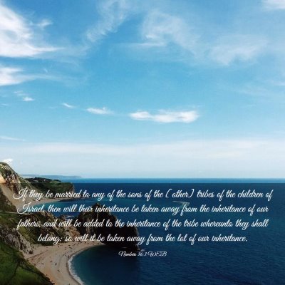 Picture 03 - Numbers 36:3 WEB - If they be married to any of the sons of the - Bible Verse Picture
