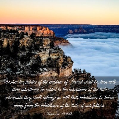 Picture 03 - Numbers 36:4 WEB - When the jubilee of the children of Israel shall - Bible Verse Picture