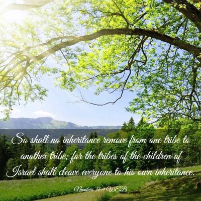 Picture 03 - Numbers 36:9 WEB - So shall no inheritance remove from one tribe to - Bible Verse Picture