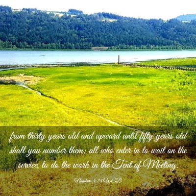 Picture 03 - Numbers 4:23 WEB - from thirty years old and upward until fifty - Bible Verse Picture