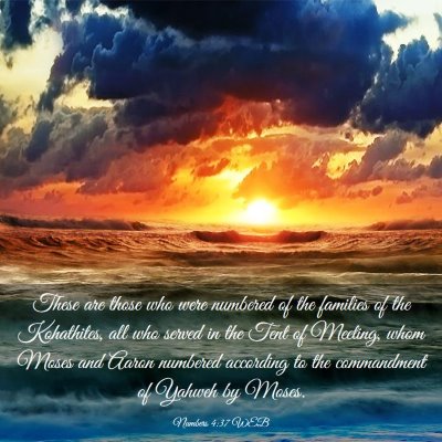 Picture 03 - Numbers 4:37 WEB - These are those who were numbered of the families - Bible Verse Picture