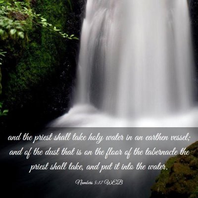 Picture 03 - Numbers 5:17 WEB - and the priest shall take holy water in an - Bible Verse Picture