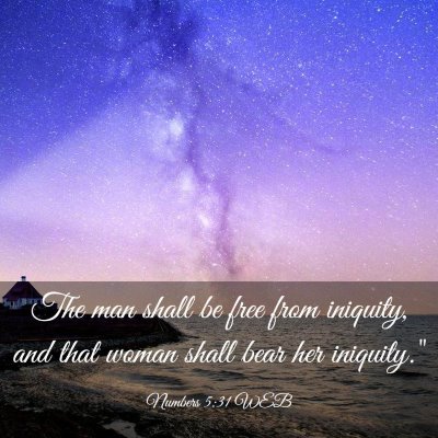 Picture 03 - Numbers 5:31 WEB - The man shall be free from iniquity, and that - Bible Verse Picture