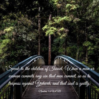 Picture 03 - Numbers 5:6 WEB - 