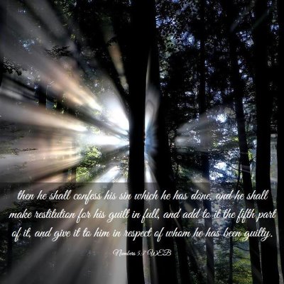 Picture 03 - Numbers 5:7 WEB - then he shall confess his sin which he has done, - Bible Verse Picture