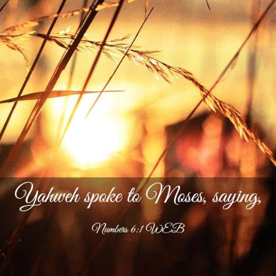 Picture 03 - Numbers 6:1 WEB - Yahweh spoke to Moses, - Bible Verse Picture