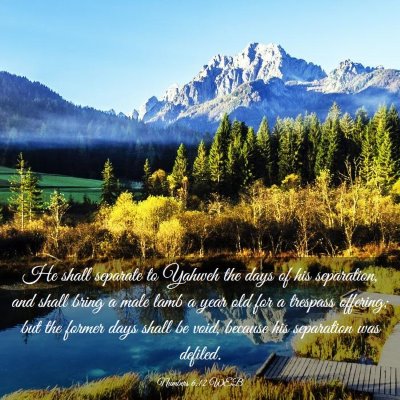Picture 03 - Numbers 6:12 WEB - He shall separate to Yahweh the days of his - Bible Verse Picture