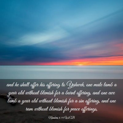 Picture 03 - Numbers 6:14 WEB - and he shall offer his offering to Yahweh, one - Bible Verse Picture
