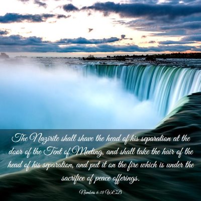 Picture 03 - Numbers 6:18 WEB - The Nazirite shall shave the head of his - Bible Verse Picture
