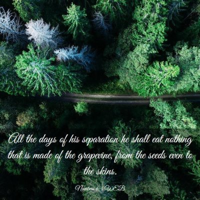 Picture 03 - Numbers 6:4 WEB - All the days of his separation he shall eat - Bible Verse Picture