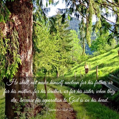Picture 03 - Numbers 6:7 WEB - He shall not make himself unclean for his father, - Bible Verse Picture