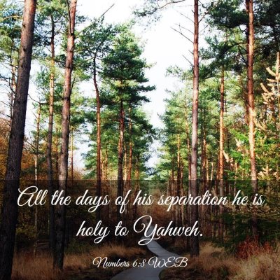 Picture 03 - Numbers 6:8 WEB - All the days of his separation he is holy to - Bible Verse Picture