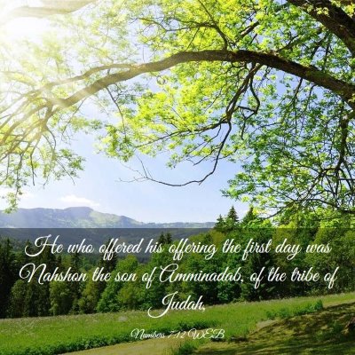 Picture 03 - Numbers 7:12 WEB - He who offered his offering the first day was - Bible Verse Picture