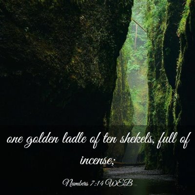 Picture 03 - Numbers 7:14 WEB - one golden ladle of ten shekels, full of - Bible Verse Picture