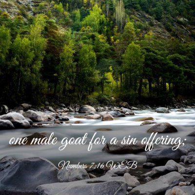 Picture 03 - Numbers 7:16 WEB - one male goat for a sin - Bible Verse Picture