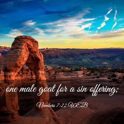 Picture 03 - Numbers 7:22 WEB - one male goat for a sin - Bible Verse Picture