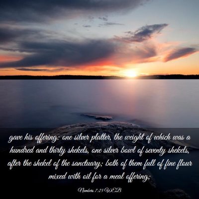 Picture 03 - Numbers 7:25 WEB - gave his offering: one silver platter, the weight - Bible Verse Picture