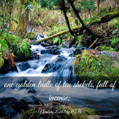 Picture 03 - Numbers 7:26 WEB - one golden ladle of ten shekels, full of - Bible Verse Picture