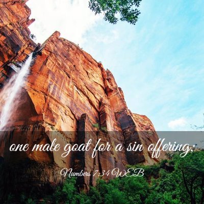 Picture 03 - Numbers 7:34 WEB - one male goat for a sin - Bible Verse Picture