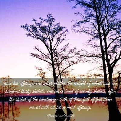 Picture 03 - Numbers 7:37 WEB - gave his offering: one silver platter, the weight - Bible Verse Picture