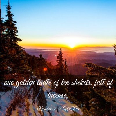 Picture 03 - Numbers 7:38 WEB - one golden ladle of ten shekels, full of - Bible Verse Picture