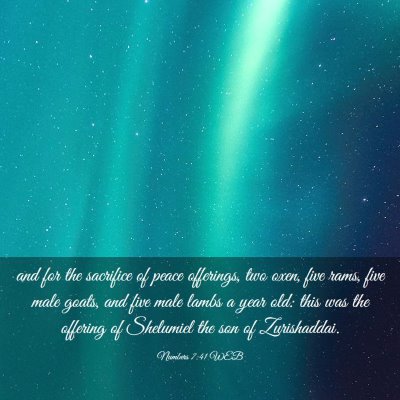 Picture 03 - Numbers 7:41 WEB - and for the sacrifice of peace offerings, two - Bible Verse Picture