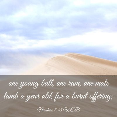 Picture 03 - Numbers 7:45 WEB - one young bull, one ram, one male lamb a year - Bible Verse Picture