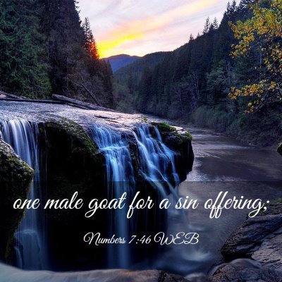 Picture 03 - Numbers 7:46 WEB - one male goat for a sin - Bible Verse Picture