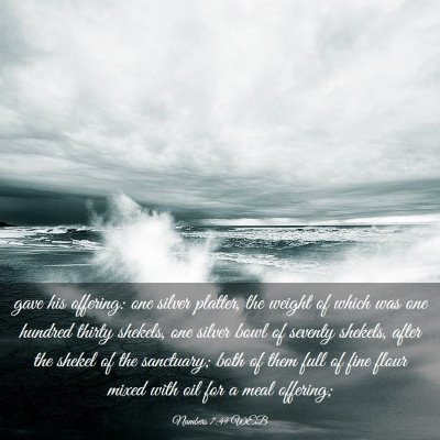 Picture 03 - Numbers 7:49 WEB - gave his offering: one silver platter, the weight - Bible Verse Picture