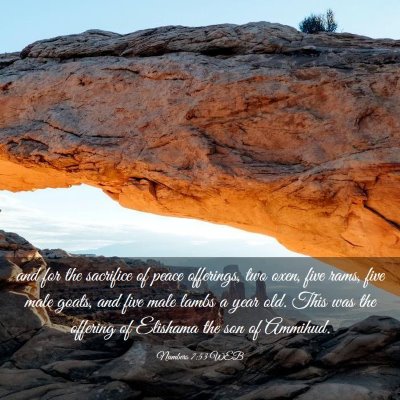 Picture 03 - Numbers 7:53 WEB - and for the sacrifice of peace offerings, two - Bible Verse Picture