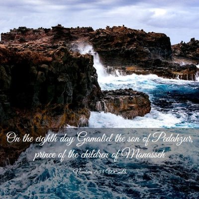 Picture 03 - Numbers 7:54 WEB - On the eighth day Gamaliel the son of Pedahzur, - Bible Verse Picture