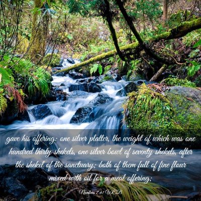 Picture 03 - Numbers 7:61 WEB - gave his offering: one silver platter, the weight - Bible Verse Picture