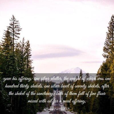 Picture 03 - Numbers 7:67 WEB - gave his offering: one silver platter, the weight - Bible Verse Picture