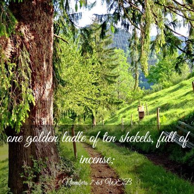 Picture 03 - Numbers 7:68 WEB - one golden ladle of ten shekels, full of - Bible Verse Picture