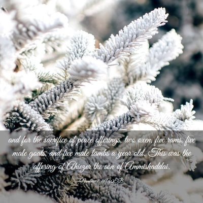 Picture 03 - Numbers 7:71 WEB - and for the sacrifice of peace offerings, two - Bible Verse Picture