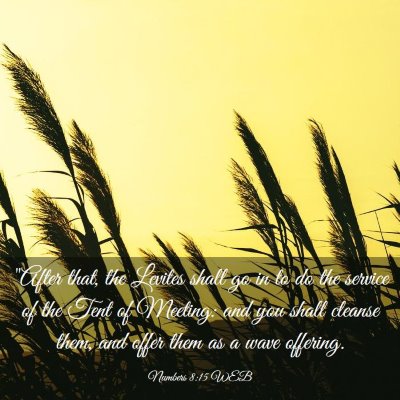 Picture 03 - Numbers 8:15 WEB - 